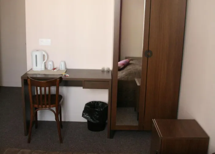 鲁西永酒店 酒店 *