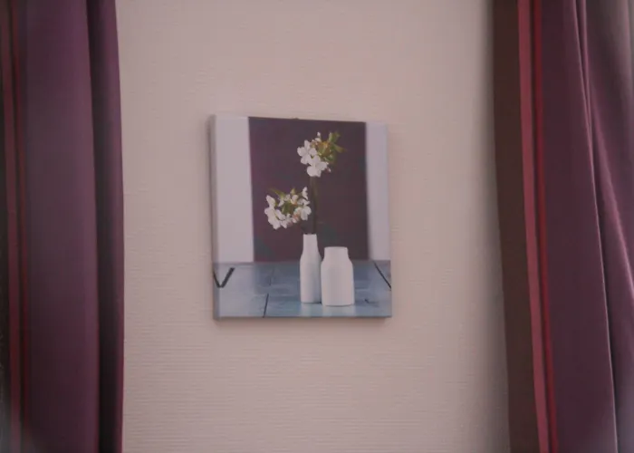 Du Roussillon Hotel *